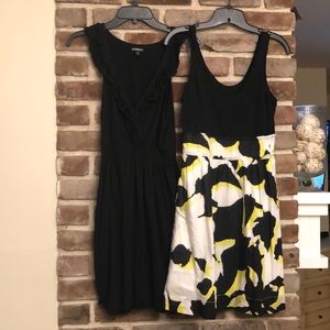 Pair of Dresses from the Limited